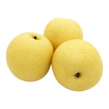 China Century Pear (5PCS/PKT)
