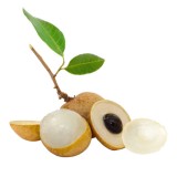 Longan Thai (1KG+-/PKT)