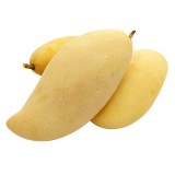 Mango Thai Waterlily (2NOS/PKT)