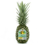 Pineapple Rompine (1PCS)