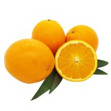 Egypt Valencia Orange (5PCS/PKT)