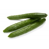 Japanese Cucumber /Kyuri (500G+-/PKT)