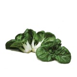 Nai Pak Choy (250G+-/PKT)
