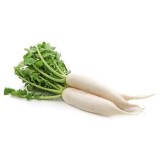 Raddish White (500G+-/PKT)