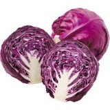 Cabbage Red/Kobis Merah (1PCS)