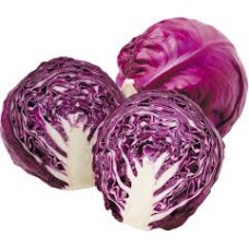 Cabbage Red/Kobis Merah (1PCS)