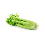Celery (800G+-/PKT)