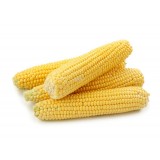 Corn/Jagung (2PCS/PKT)