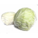 Round Cabbage (1PCS)
