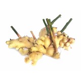 Ginger Young (200G+-/PKT)