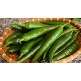 Green Chili (200G+-/PKT)