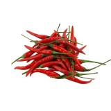 Red Chili Padi (150G+-/PKT)