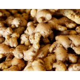 Ginger Old (200G+-/PKT)