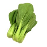 Siew Pak Choy (250G+-/PKT)