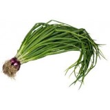 Spring Onion (100G+-/PKT)