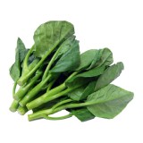Kale/ Kailan Hong Kong (250G+-/PKT)