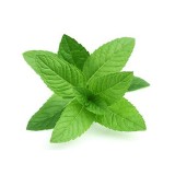 Mint Leaf (50G/PKT)