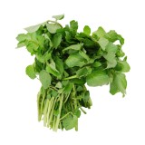 Watercress (300G+-/PKT)