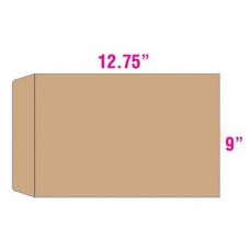 Brown Envelope-Manila-250pcs-9inX12.75in