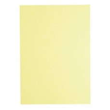 Light Colour A4 80gsm Paper - Ivory