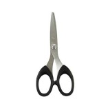 Stainless Steel Scissor 5.5"